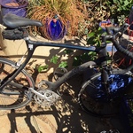 Oakbike3