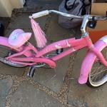 Oakbike4