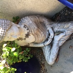 Oakbuddah