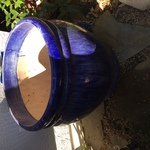 Oakpot