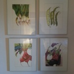 watercolor art