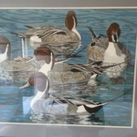 duck art by Wren