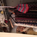 Or Clothes 3