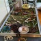 fine & costume jewelry