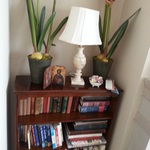 1930's  bookcase