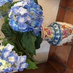 Sh Vase