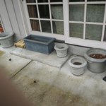 Img 4696