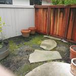 Img 4697