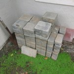 Img 4698