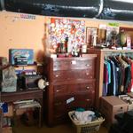 Img 5129 (1)
