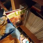 Img 5957