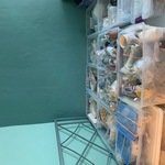 Img 0152