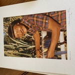 Img 0246