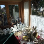 Img 9861