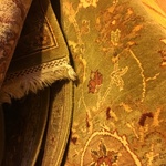 Img 9881